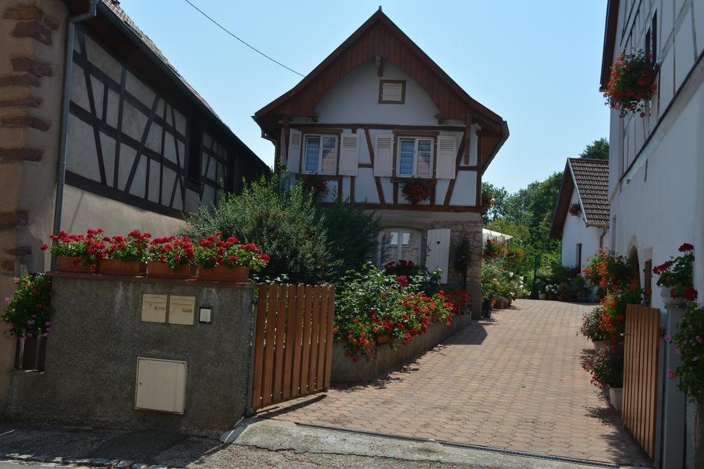 Location Alice Villa Ottrott Rom bilde