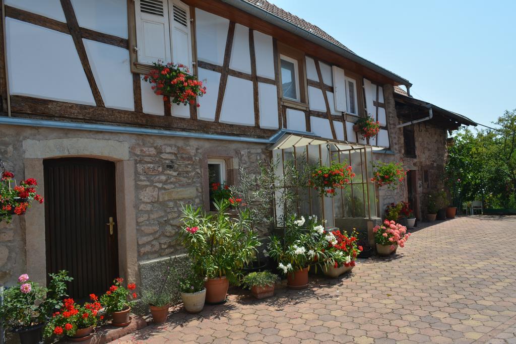 Location Alice Villa Ottrott Rom bilde