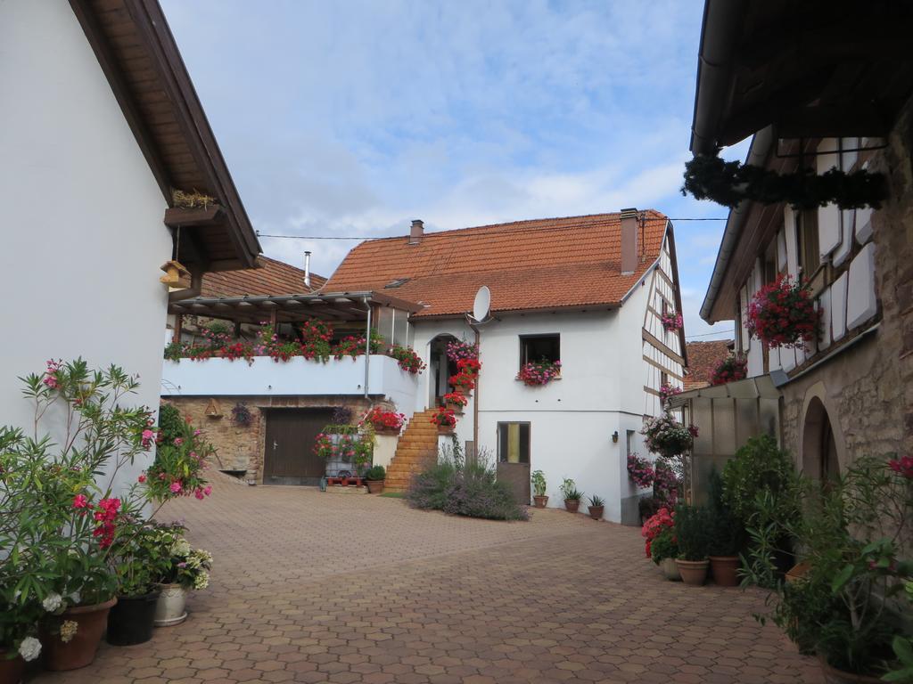 Location Alice Villa Ottrott Eksteriør bilde